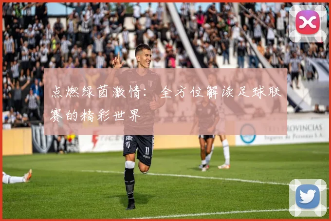 点燃绿茵激情：全方位解读足球联赛的精彩世界